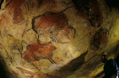 バイソンのギャラリー、アルタミラ洞窟、スペイン、2000年（写真）
