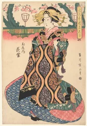 玉屋家の花紫 玉屋内花紫 風情ある屋敷の名花（連載タイトル） 風流聖路明華合わせ