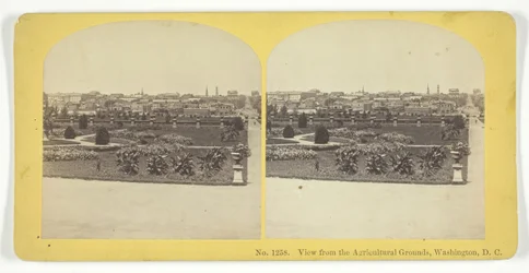 ワシントンD.C.のアグリカルチュラル・グラウンドからの眺め（185575年）。クリエイター。キルバーンブラザーズ、BWキルバーン
