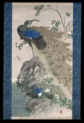 岩の上のヒメリンゴとクジャク