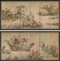 花と草