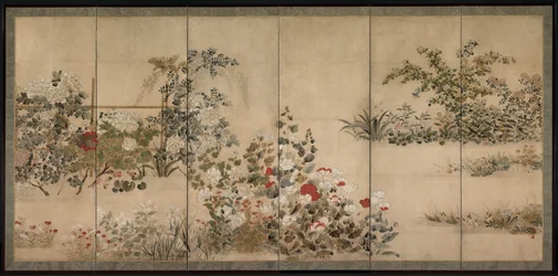 花と草