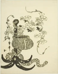 朝顔のアレンジ（朝顔）