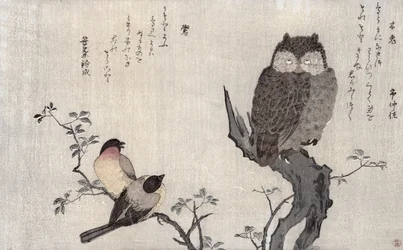 フクロウと2匹のイースタンブルフィンチ、アルバム「ユーモラスな歌で比較された鳥、100羽と1000羽の詩のコンテスト」、1791年（カラー木版画）