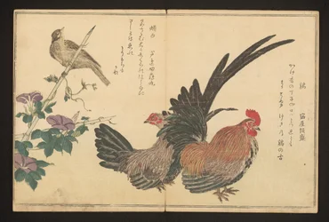 コックとホオジロ