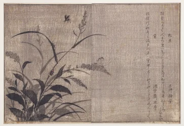 クリケットとホタル、1788（木版）
