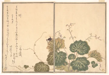 ミミズ（ミミズ）、コオロギ（コオロギ）、『絵本虫撰』より