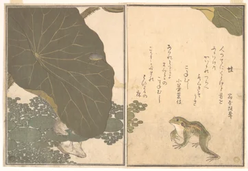 『絵本虫撰』より、蛙（カエル）、黄金虫（コガネムシ）