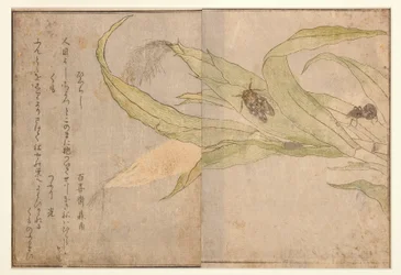 日暮里と蜘蛛、1788（木版）