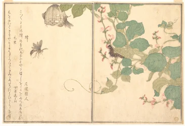 紙バチ（ハチ）；毛虫（ケムシ）、『画本虫撰』より