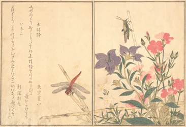 赤とんぼ赤とんぼ、イナゴイナゴ...、1788年。