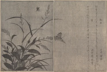 ツキノワグママツムシ、ホタルホタル...、1788年。