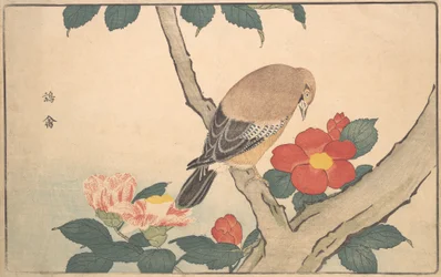 鳥のいるカメリア 1789年