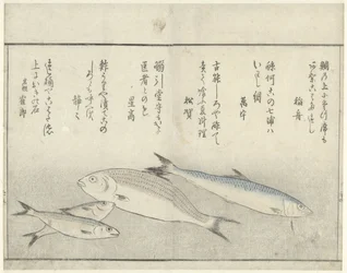 4匹の魚