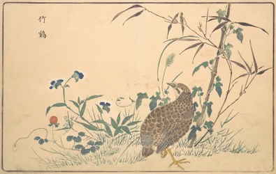Z スロット マシン、1789 年。