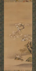 レンジャク、桜、竹、17世紀後半。