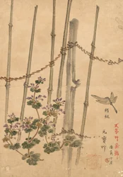 竹垣と菊、c。 1890