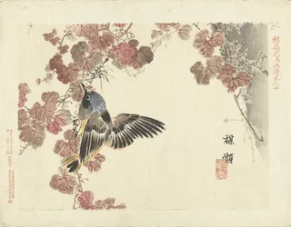 鳥とアカツル