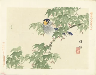灰青色の鳥 梅嶺の花鳥画（連載タイトル） ばれい課長画譜