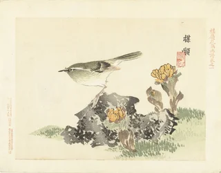 緑の鳥 梅嶺の花鳥画（連載タイトル） ばれい課長画譜