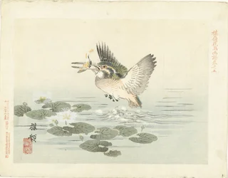 カワセミ 梅嶺の花鳥画（連載タイトル） ばれい課長画譜