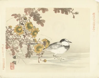 セキレイ 梅嶺の花鳥画（連載タイトル） ばれい課長画譜