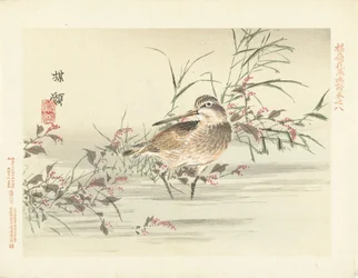 をちょきちょきと切る 梅嶺の花鳥画（連載タイトル） ばれい課長画譜