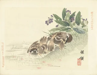 2羽のスズメ 梅嶺の花鳥画（連載タイトル） ばれい課長画譜