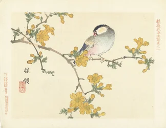 開花枝の鳴き鳥 梅嶺の花鳥画（連載タイトル） ばれい課長画譜