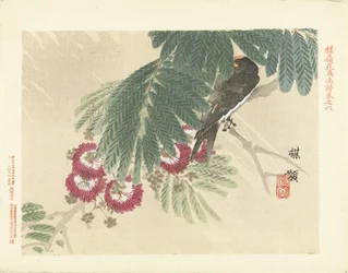 飲み込む 梅嶺の花鳥画（連載タイトル） ばれい課長画譜