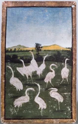 宮廷鷹のシーンを描いたトランプのセットの1つであるフィールドのサギ、アッパーラインエリア、c.1440-45（ペンとインク、トイレ）（88300-04も参照）