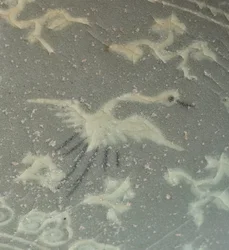 鶴と雲の入ったボウル、c.1150-1200（青磁釉石器）