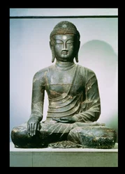 忠興にある釈迦牟尼仏（鉄）