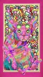 サイケデリックなスフィンクス猫