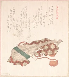 覆い付きの琵琶