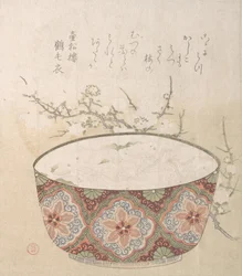 白貝梅花文鉢 19世紀