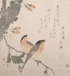 みごとと桜、19世紀。