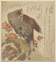 ツツジの茂みのそばの岩の上に爪を上げたワシ