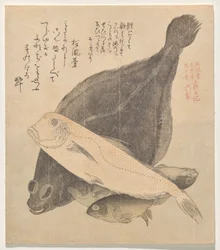 土佐日記よりヒラメ、アマダイ、三フナ