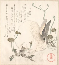 野ウサギとタンポポ?
