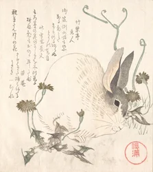 うさぎとタンポポ、おそらく 1820 年。