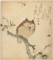 花が咲いた枝に止まるミミズク
