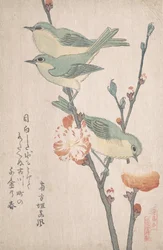 桃の木の枝に乗った日本の白目...1805～10年頃