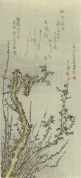 古い梅の木、1796年。