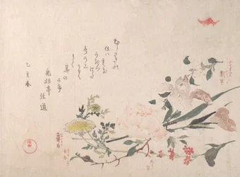 バラ、アイリス、サクラソウ、デイジー 1815年