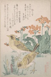 「鳥合せ」より、ヒバリとサクラソウ。春雨摺物帖（春雨摺物帖、第3巻）より