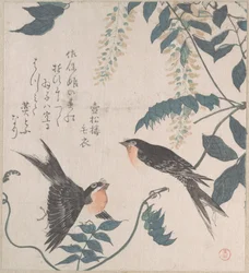 ツバメとフジ