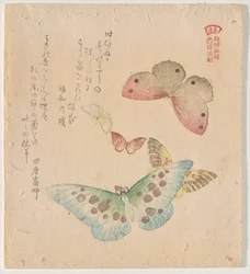 蝶の群れの絵付けマニュアル（群鳥？画風）