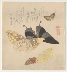 蝶の群れの絵付けマニュアル（群鳥？画風）
