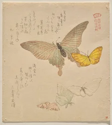蝶の群れの絵付けマニュアル（群鳥？画風）